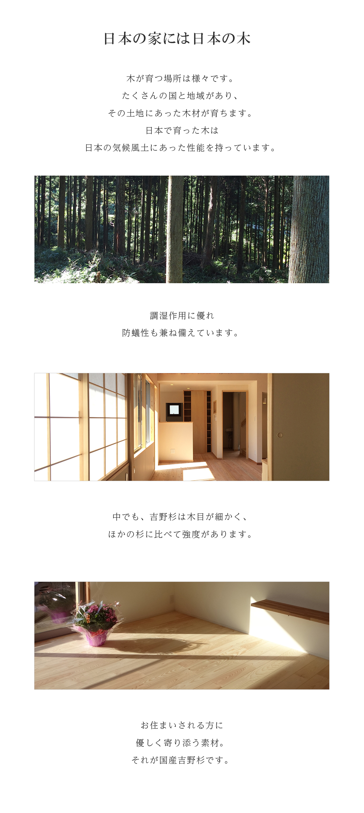 日本の家には　日本の木